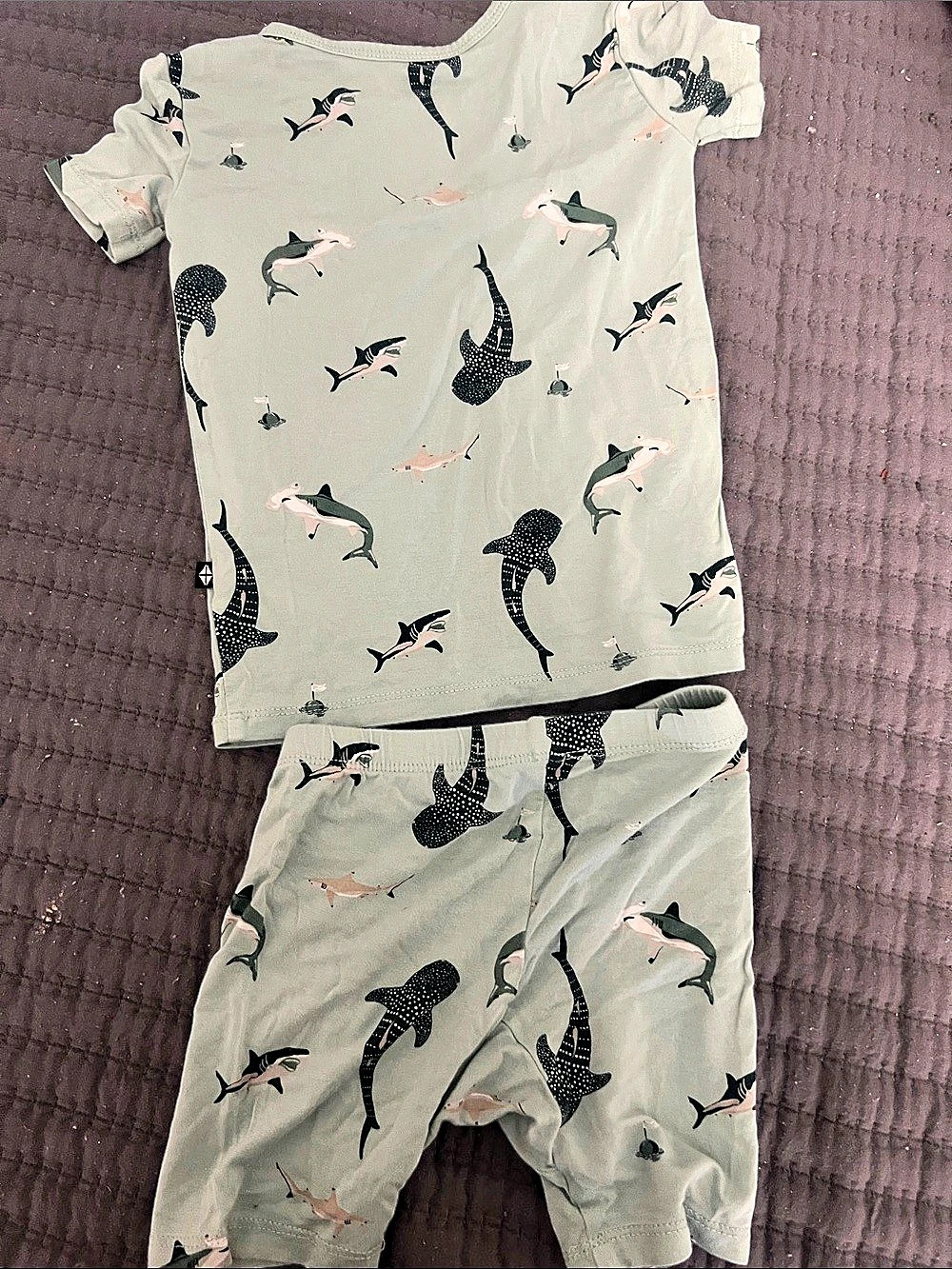 Kyte shark Print Set Size 3T